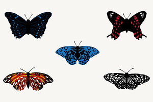 Realistic Butterfllies, Buttrerfly