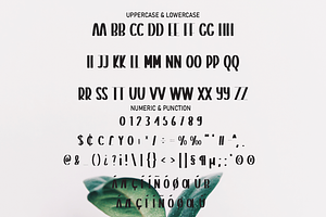 Simple Garden Script Font