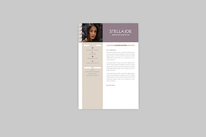 Marketing Executive Resume Designer