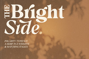 Polarity - Vintage Serif Font Family, a Serif Font by The Paper Town