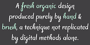 Symbah, a Script Font by Hashtag Type (Thumbnail 2 of 8)
