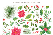 Xmas winter plants. Watercolor set, a Seasonal Illustration by alenaganzhela (Thumbnail 2 of 9)