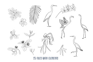 Tropical Plants And Birds Outline