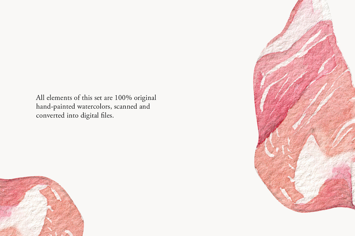 Cold Cuts Food Illustrations., an Object Graphic by NiKO (Photo 8 of 9)