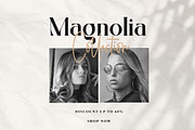 Badger Glance - Modern Serif Font, a Serif Font by Heinzel Std (Thumbnail 7 of 14)