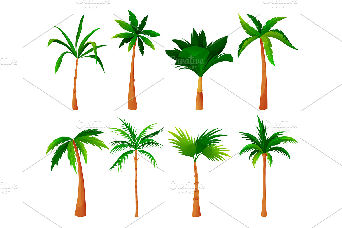 Palm tree or coconut palm set, an Object Illustration by GenziWorkshop (Photo 1 of 2)