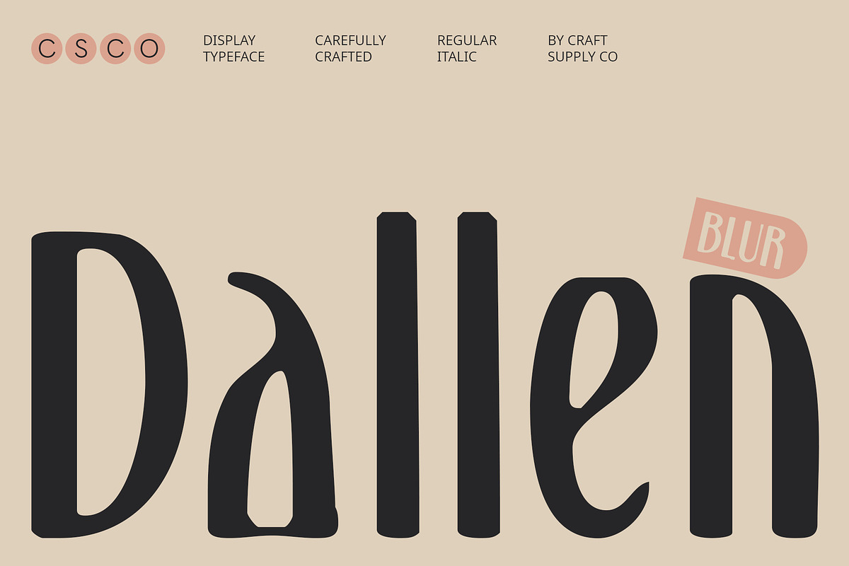 Dallen Blur, a Serif Font by Craft Supply Co. (Photo 1 of 8)