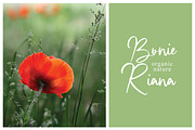Kahire Brush, a Handwritten Font by Eltypesstudio (Thumbnail 9 of 11)