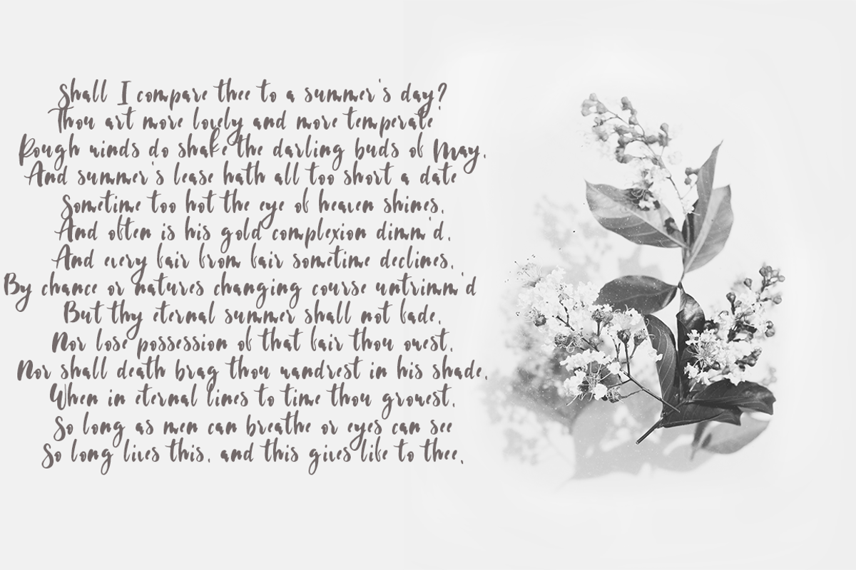 White Rose preview 6