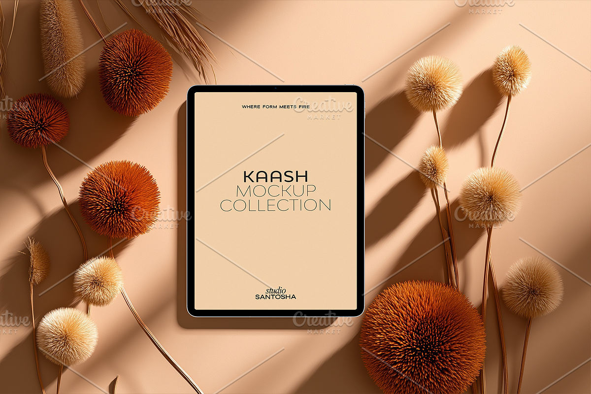 Kaash Mockup Collection, a Mac Mockup by Studio Santosha (Photo 8 of 12)