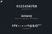 Postpress - FREE Industrial Serif, a Serif Font by Parker Creative (Thumbnail 6 of 6)