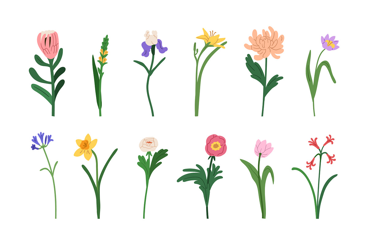 Blossomed flowers, floral plants set, a Decorative Illustration by Good Studio (Photo 4 of 6)