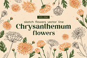 Flowers. Chrysanthemums, an Illustration by irina.vaneeva (Thumbnail 1 of 8)