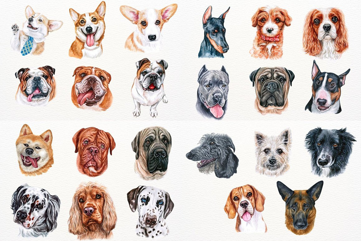 100+ Watercolor Dog Breeds - UPDATE, an Animal Illustration by ArtbyHien (Photo 6 of 9)
