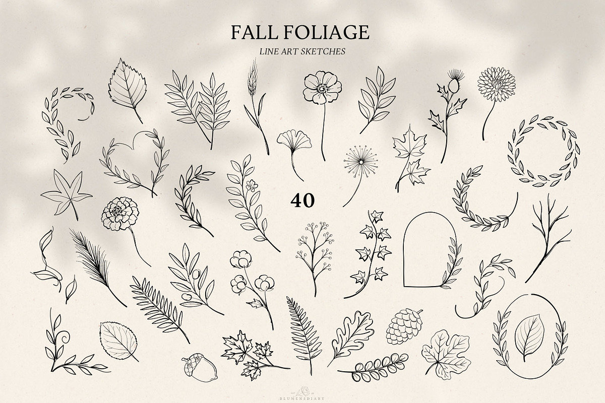 Fall Foliage Line art sketches, an Object Graphic by Blumensdiary (Photo 2 of 7)