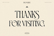 BD PHOSERINÉ | Display Serif, a Serif Font by Brandear Design (Thumbnail 23 of 23)