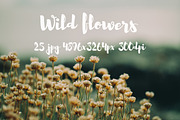 Wild Flowers II, a Templates & Theme by ApertureVintage (Thumbnail 1 of 14)
