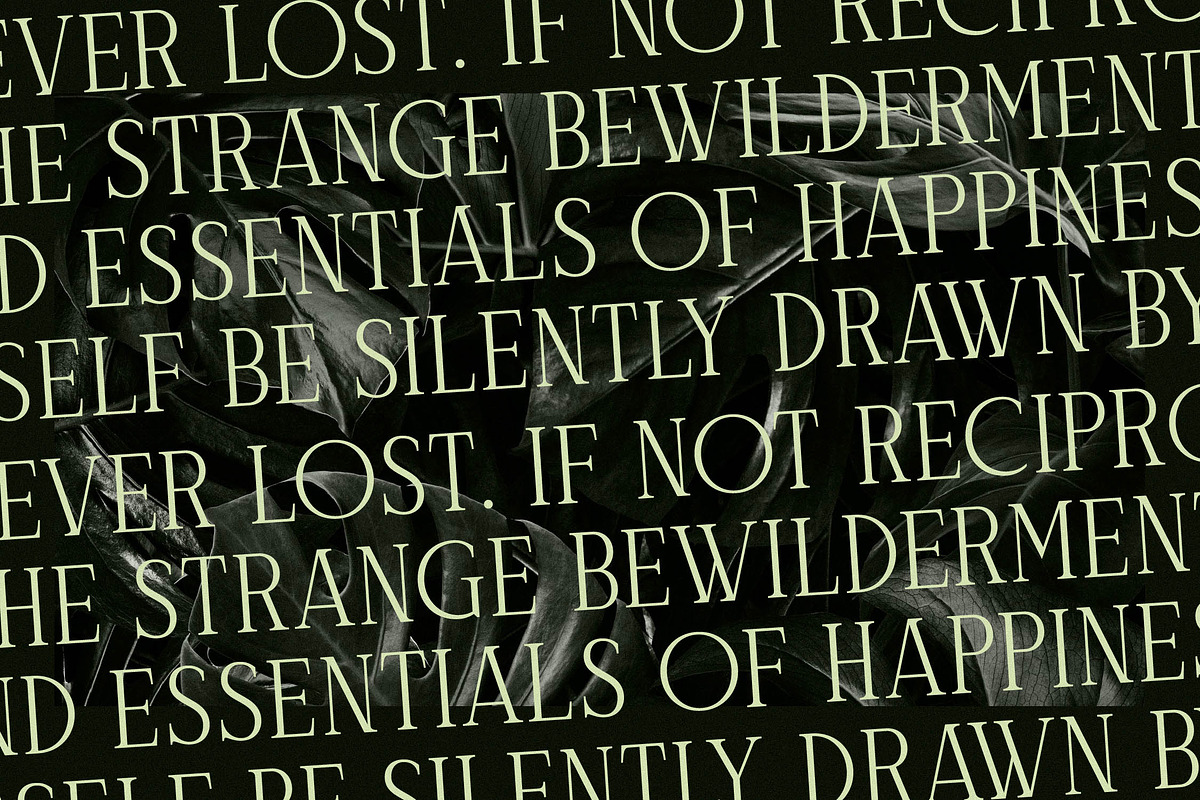 Celliqath Modern Display, a Serif Font by Storytype Studio (Photo 10 of 15)