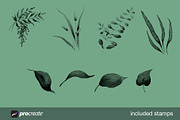 Ornamental Watercolor Stamps, a Brush Add-On by Relic Images (Thumbnail 3 of 7)