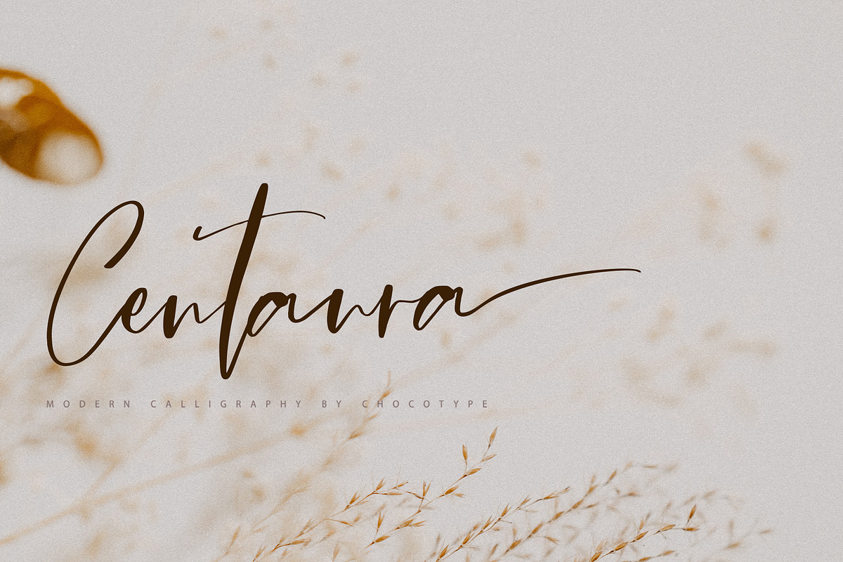 Centaura Script, a Script Font by Chocotype Std (Photo 1 of 8)