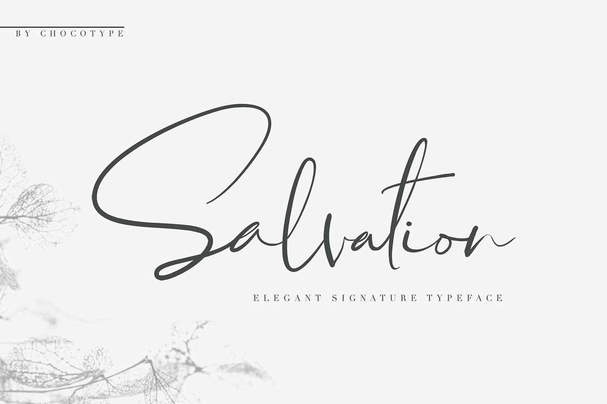 Wonderfull Font Collection, a Script Font by Chocotype Std (Photo 38 of 51)