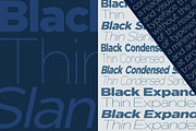Nunito Flex Pro (54 Font), a Sans Serif Font by Positive TypeFoundry (Thumbnail 9 of 13)