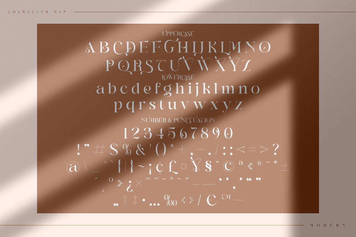 Branding Aliskaje Modern Serif Font, a Serif Font by Storytype Studio (Photo 7 of 9)