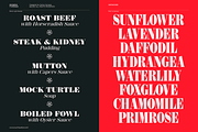 Shomina Font, a Serif Font by Cuchi, qué Tipo! Foundry (Thumbnail 5 of 21)