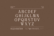 Gilvan Modern Serif Font, a Serif Font by Perfectype (Thumbnail 8 of 8)
