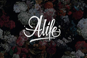 Ashtone, a Script Font by Rvq Type Foundry (Thumbnail 3 of 8)