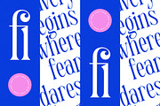 Qehanst Elegant Modern Serif, a Serif Font by timelesstype.co (Thumbnail 13 of 20)