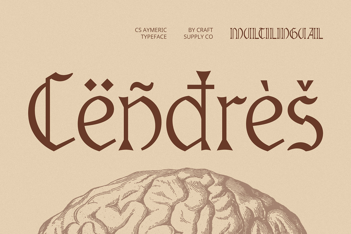 CS Aymeric – Gothic Font, a Blackletter Font by Craft Supply Co. (Photo 6 of 8)