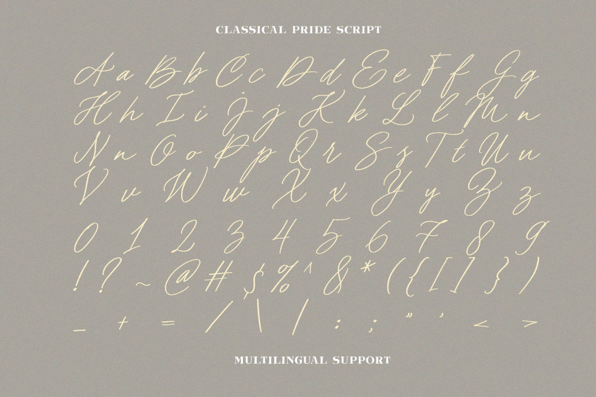 Classical Pride Timeless Beauty Font, a Script Font by Letterhend Studio (Photo 9 of 11)