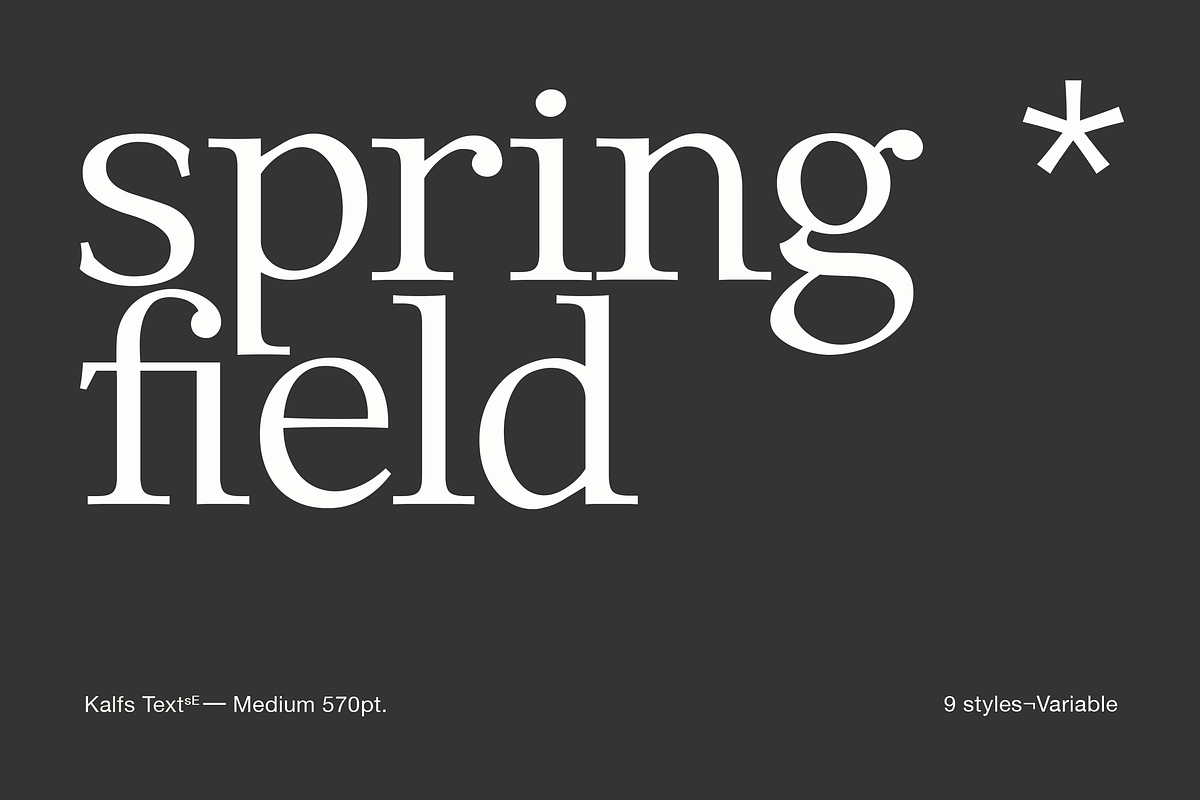 Kalfs Text sE, a Serif Font by silukEight (Photo 4 of 10)