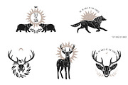 Wild forest. Vector collection, an Animal Illustration by Nadia Murash (Thumbnail 6 of 7)