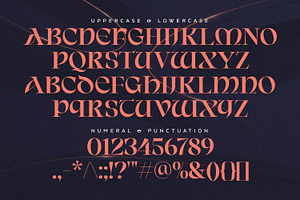 Avendica - Serif Display