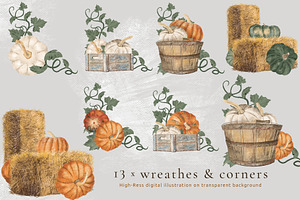 Pumpkin Harvest Illustration Set