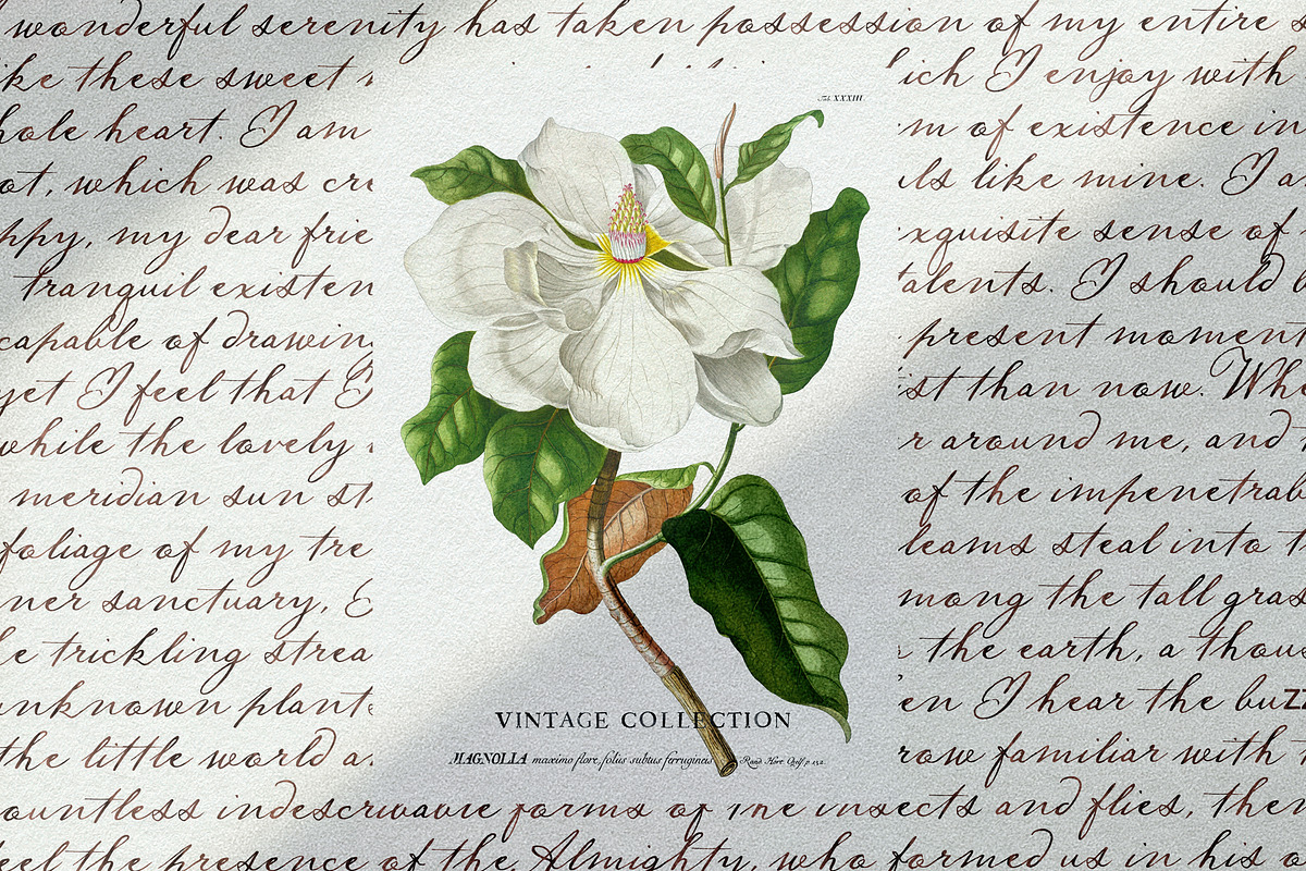 Nightingale Script, a Script Font by Nicky Laatz (Photo 5 of 10)