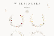 Wildflowers Watercolor Wild Botany, a Decorative Illustration by Kreker Kate (Thumbnail 6 of 11)