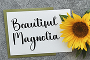 Women, a Handwritten Font by FreshTypeINK (Thumbnail 6 of 8)