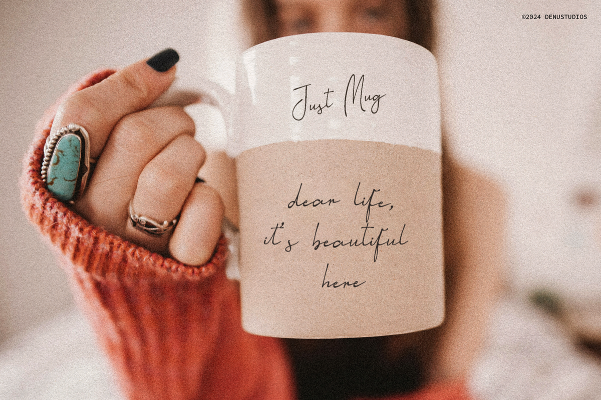 Aesallyn | Classic Signature Font, a Script Font by Denustudios (Photo 10 of 13)