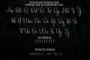Reading, a Handwritten Font by FreshTypeINK (Thumbnail 8 of 8)