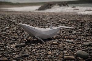 Papercraft Whale Sale