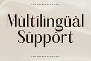 Rolisand New Modern Serif Font, a Serif Font by Storytype Studio (Thumbnail 12 of 15)