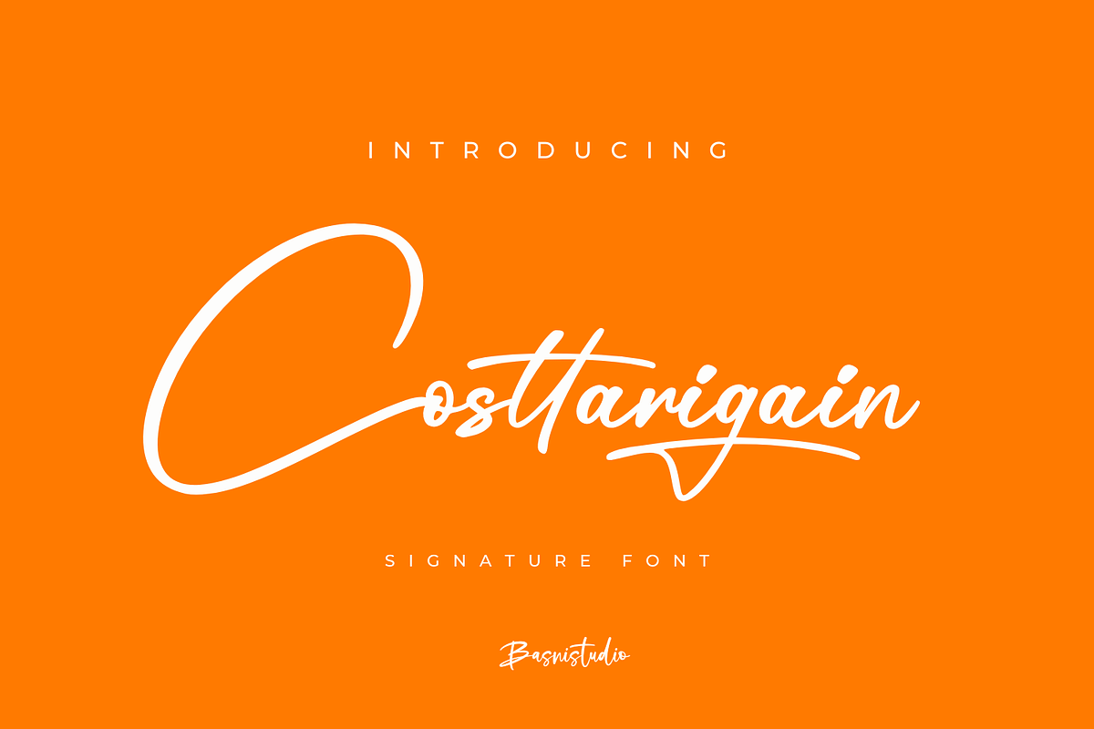 Costtarigain Signature Font, a Script Font by Basnistudio (Photo 1 of 11)