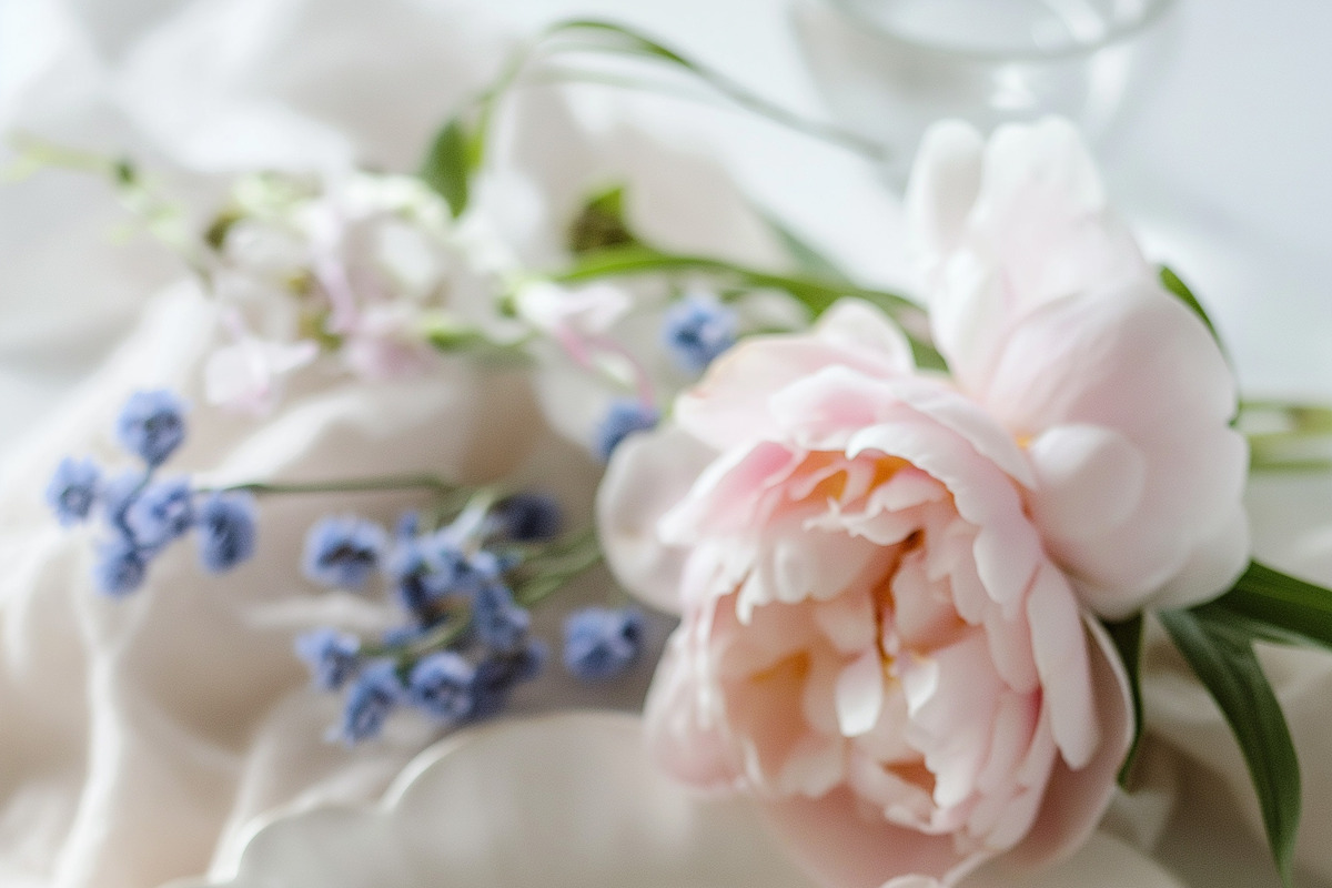 Whimsical Garden Patterns & Prints, a Decorative Illustration by Muse Artist (Photo 20 of 20)