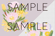 Pastel Australian Flowers Clipart, a Decorative Illustration by Pawcasso's Portraits (Thumbnail 6 of 10)