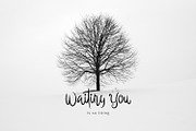 Thunder After Snow Brush Font, a Script Font by Dicubit (Thumbnail 2 of 10)