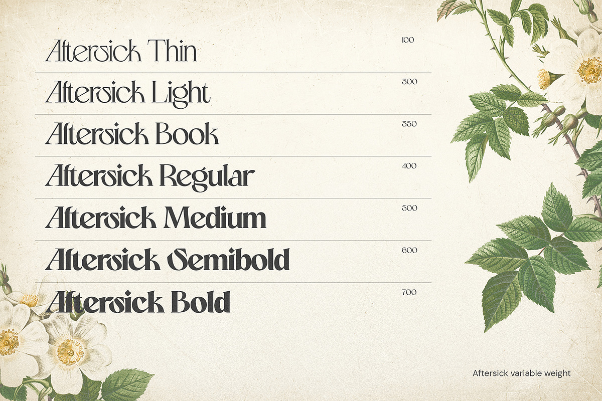 Aftersick - Display Font, a Serif Font by Prominent & Affluent (Photo 3 of 10)