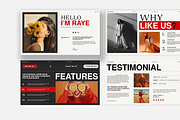 Media Kit Template, a Presentation Template by slidestock55 (Thumbnail 5 of 11)
